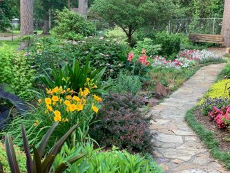 Transform Your Summer Garden on a Budget